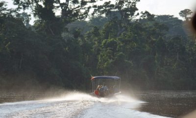 Les excursions depuis le Princess Ngalessa se font en petits bateaux à moteur afin d'accéder aux affluents et cours d'eau étroits, lors des croisières Expéditions Ducret sur le Fleuve Congo.