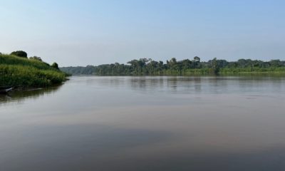 Vue aérienne du fleuve Sangha traversant la forêt tropicale dense du bassin du Congo. Le bassin du Congo abrite une biodiversité exceptionnelle et est l'une des plus grandes forêts tropicales humides au monde. Ces écosystèmes sont essentiels pour la régulation climatique et nécessitent des efforts de conservation permanents.
