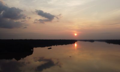 Le fleuve Sangha au crépuscule, entouré de la forêt tropicale dense du bassin du Congo. Toute cette immense région abrite une biodiversité exceptionnelle et est l'une des plus grandes forêts tropicales humides au monde. Ces écosystèmes sont essentiels pour la régulation climatique et nécessitent des efforts de conservation permanents.