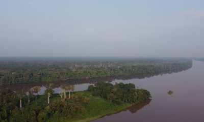 Vue aérienne du fleuve Sangha traversant la forêt tropicale dense du bassin du Congo. Le bassin du Congo abrite une biodiversité exceptionnelle et est l'une des plus grandes forêts tropicales humides au monde. Ces écosystèmes sont essentiels pour la régulation climatique et nécessitent des efforts de conservation permanents.