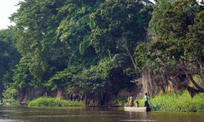 Des villageois pêchent depuis leurs pirogues sur la rivière Sangha en République du Congo. Voici le genre de spectacle que l'on peut souvent admirer depuis le pont d'observation du bateau des croisières Expéditions Ducret.