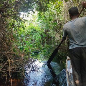 Un habitant Moyo du village de Bonda navigue en pirogue à travers la forêt tropicale inondée, dans le bassin de la rivière Alima, République du Congo.