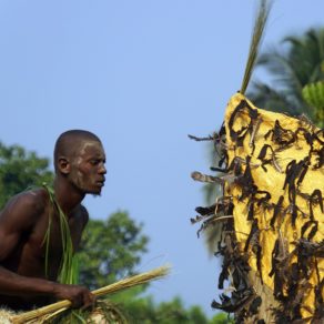 Le Kebe-Kebe (ou Kiebe-Kiebe) est une danse traditionnelle et une société initiatique de la République du Congo. Créée par les Koyo (dans la région d'Owando), la danse Kebe-Kebe est aujourd'hui largement pratiquée par les Mbochi. On la retrouve principalement dans les départements des Plateaux, de la Cuvette et de la Cuvette-Ouest.