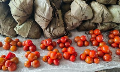 Un étal de tomates au marché à Mondolonguo, République du Congo.