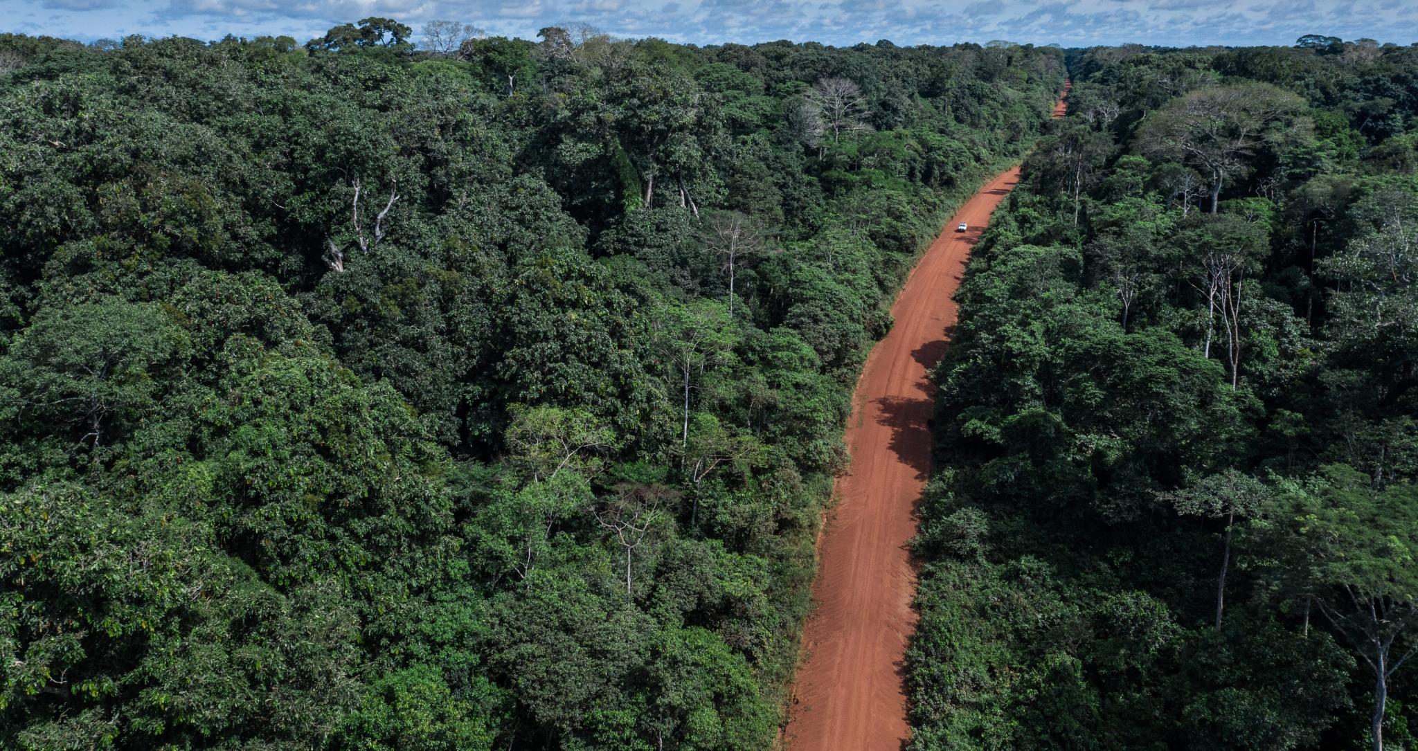 La piste traverse la forêt tropicale du Bassin du Congo, proche de Mboko à côté du Parc National Odzala-Kokoua, en République du Congo.
