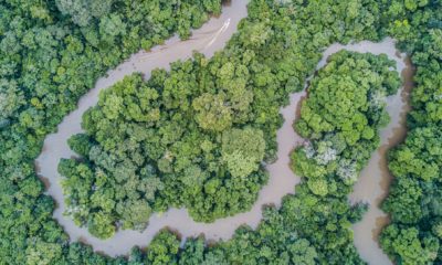 Vue aérienne des méandres de la rivière Lekoli, entourée par la forêt tropicale près de Mboko Lodge, dans le Parc National Odzala-Kokoua en République du Congo.