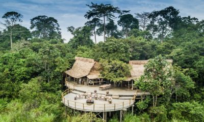 La terrasse du Lango Lodge entourée de forêt tropicale, dans le Parc National de Odzala-Kokoua au Congo