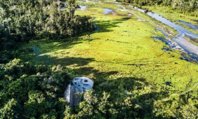 Vue aérienne du marécage du Baï de Lango, avec le Lango Lodge adossé à la forêt tropicale, dans le Parc National de Odzala-Kokoua au Congo
