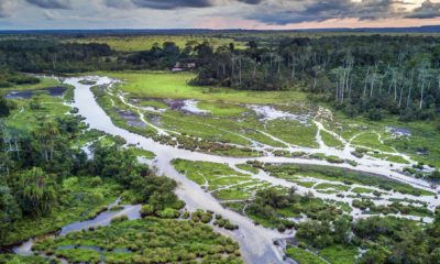 Vue aérienne du marécage du Baï de Lango, avec le Lango Lodge au fond, adossé à la forêt tropicale, dans le Parc National de Odzala-Kokoua au Congo