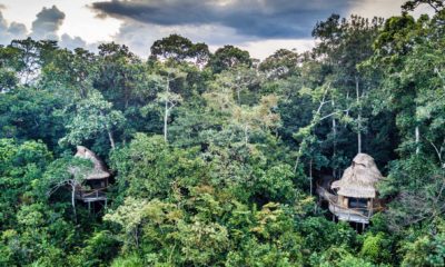 Deux bungalows à Lango Lodge, adossés à la forêt tropicale, dans le Parc National de Odzala-Kokoua au Congo