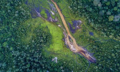 Vu aérienne du Lango Lodge, au bord du Baï de Lango, dans le Parc National Odzala-Kokoua, République du Congo