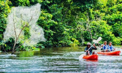 Descente en kayak de la rivière Lekoli pour se rendre de Mboko à Lango Lodge, ans le Parc National de Odzala-Kokoua au Congo
