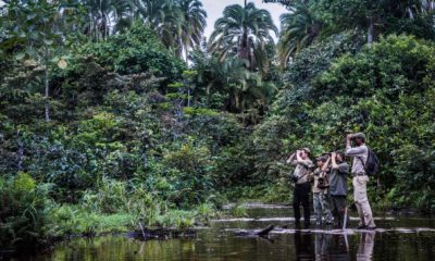 Un groupe de voyageurs-explorateurs observe la faune depuis un canal dans la forêt inondée autour du Baï de Lango, seul passage possible à travers la jungle, créé par les éléphants.