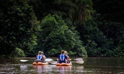 Un groupe d'explorateurs descend en kayak la rivière Lekoli pour se rendre de Mboko à Lango Lodge, ans le Parc National de Odzala-Kokoua au Congo