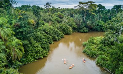 Descente en kayak de la rivière Lekoli, au coeur de la forêt tropicale africaine, pour se rendre de Mboko à Lango Lodge, dans le Parc National de Odzala-Kokoua au Congo