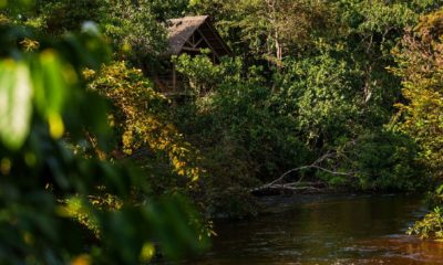 Un bungalow surplombe la rivière Lékéni à Mboko Lodge, dans le Parc National Odzala-Kokoua en République du Congo