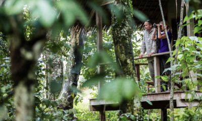 Un couple de voyageurs observe les oiseaux depuis la terrasse de leur bungalow à Mboko Lodge, dans le Parc National Odzala-Kokoua en République du Congo