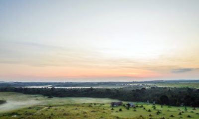 La brume s'évapore à l'aube autour de Mboko Lodge, dans le Parc National Odzala-Kokoua en République du Congo