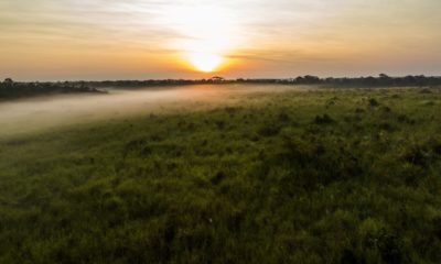 Le soleil se lève et dissipe la brume sur la savane autour de Mboko Lodge, dans le Parc National Odzala-Kokoua en République du Congo