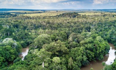 La rivière Lekoli fait des méandres dans la forêt tropicale près de Mboko Lodge, dans le Parc National Odzala-Kokoua en République du Congo.