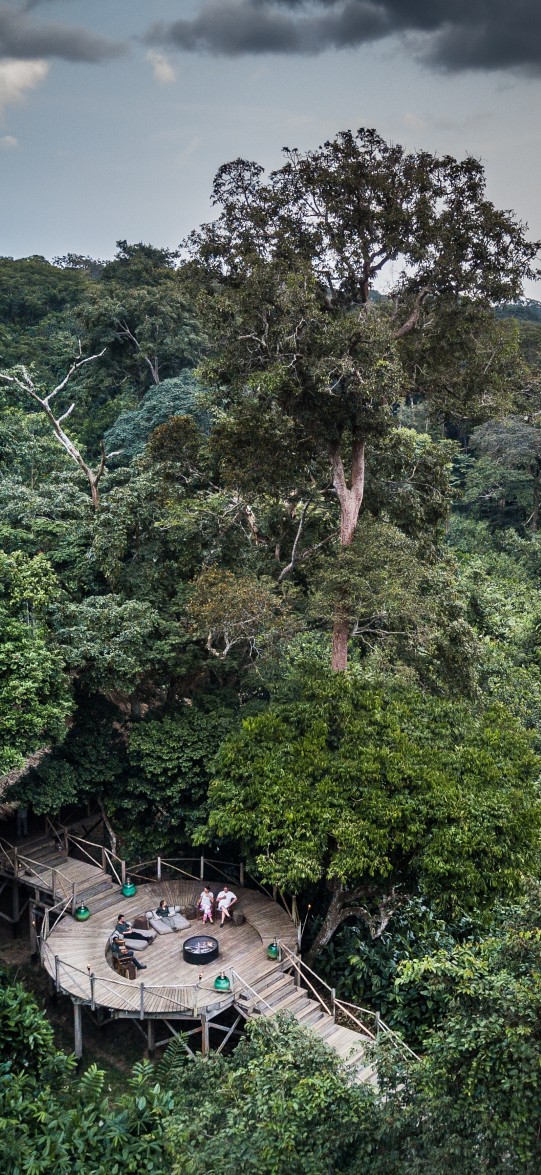 Le lodge principal et terrasse d'observation à Ngaga Lodge, entouré par la forêt tropicale à Odzala, République du Congo.