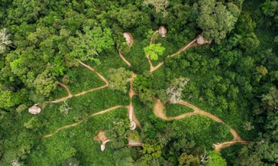 Vue aérienne de Ngaga Lodge au milieu de la forêt tropicale d'Odzala en République du Congo