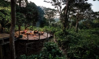 Terrasse d'observation à Ngaga Lodge, entourée de la forêt tropicale. Hôtes prenant un verre autour du feu.