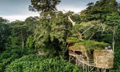 Le lodge principal à Ngaga Lodge, entouré par la forêt tropicale à Odzala, République du Congo.