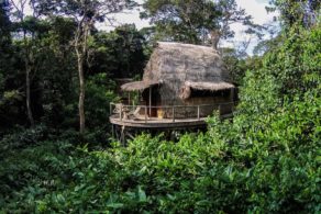 Une luxueuse cabane à Ngaga Lodge à Odzala au Congo, entourée par la forêt tropicale.