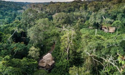 Les luxueuses cabanes de Ngaga Lodge à Odzala au Congo, entourées par la forêt tropicale.