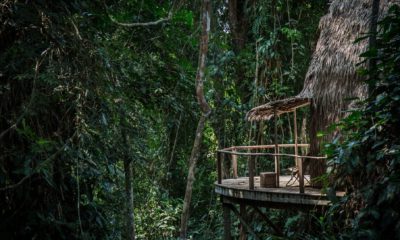 Une des cabanes de Ngaga Lodge à Odzala au Congo, entourée de la forêt tropicale.