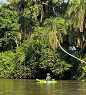 Un kayakiste descend la paisible rivière Lekoli entre Mboko et Lango, à l'affut de la faune environnante.