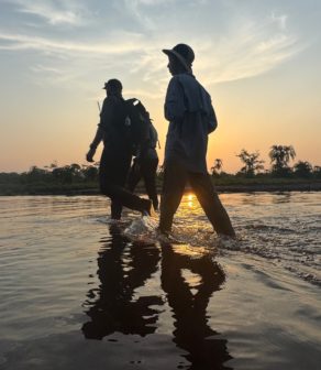 Des randonneurs marchent dans la rivière en direction de Lango Lodge, au coucher du soleil.