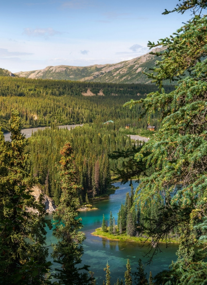 Vue sur une rivière aux eaux turquoise serpentant au cœur de vastes forêts de conifères dans le parc national de Denali en Alaska, avec des collines boisées et des montagnes sauvages en arrière-plan, illustrant l'immensité préservée du Grand Nord américain.