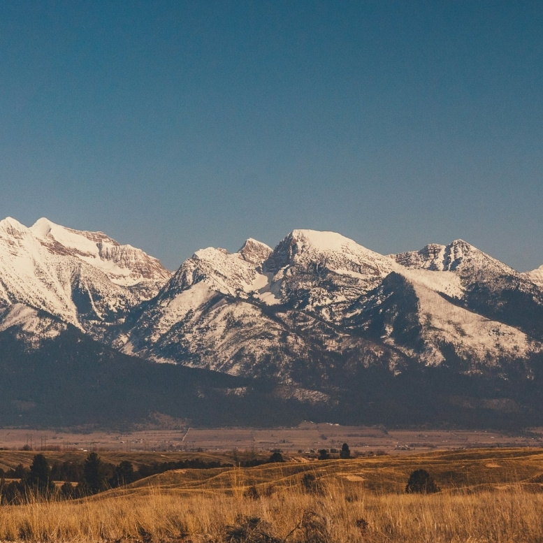 Panorama sur les sommets enneigés du parc national de Glacier, dans le Montana, dominant de vastes prairies dorées et illustrant les paysages grandioses des Rocheuses américaines.