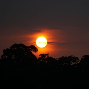 Coucher de soleil sur la rivière Sangha en République du Congo. Voici le spectacle que l'on peut souvent admirer depuis le pont d'observation du bateau des croisières Expéditions Ducret.