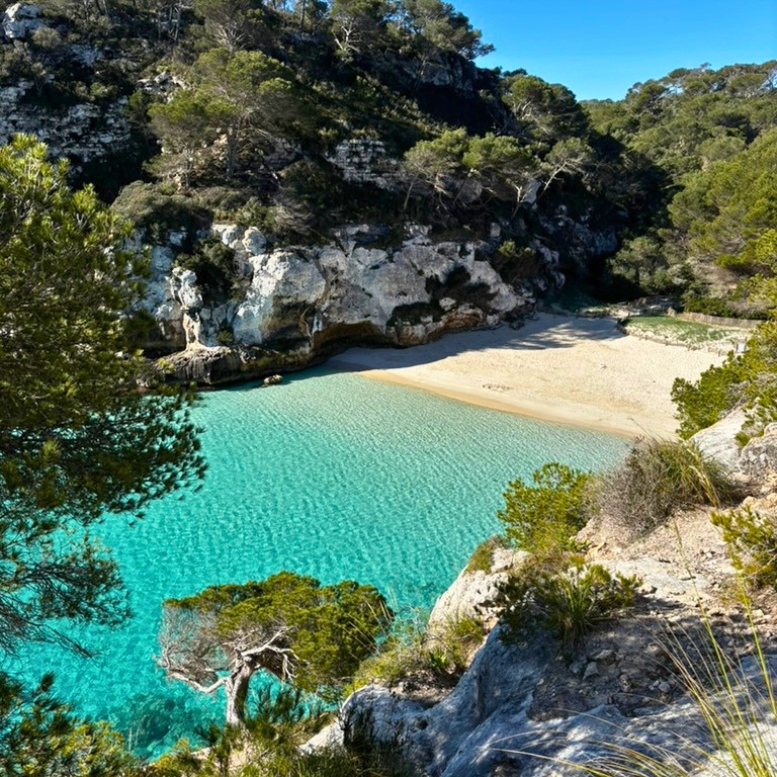 Crique aux eaux turquoise bordée de falaises calcaires et de pins à Minorque, dans les îles Baléares. A découvrir avec Horizons Nouveaux